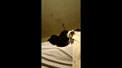 bricks4u online show from 18, 4, 2026