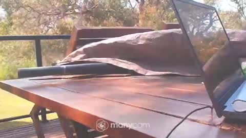 Snapshot of bridie3079 chatting on 10, 10, 2025 Fun Monster online show from 10, 10, 2025