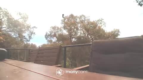 Snapshot of bridie3079 chatting on 16, 10, 2025 Fun Monster online show from 16, 10, 2025