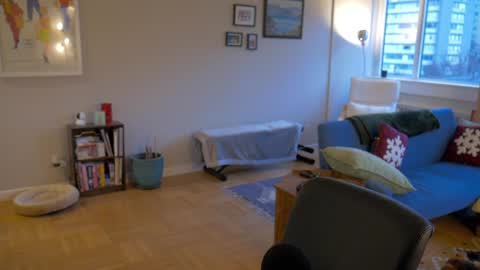 bright bi online show from 29, 12, 2024