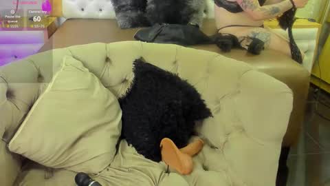 Snapshot of brithaniky chatting on 19, 11, 2025 brithani online show from 19, 11, 2025