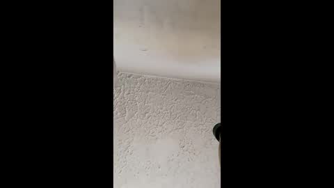 Brittany  online show from 31, 3, 2026