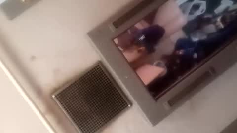 Brobator-gator online show from 5, 3, 2026