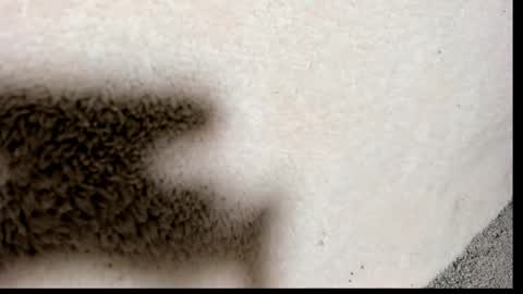 brockhurn_ online show from 15, 9, 2025