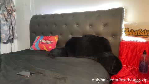 Snapshot of brodybiggs chatting on 9, 1, 2026 Brody Biggs online show from 9, 1, 2026