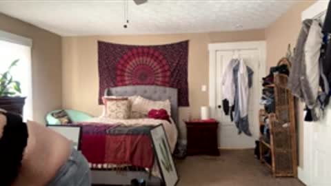 brookieslife online show from 12, 2, 2026