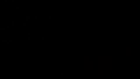 Sasha Brunette online show from 1, 3, 2025