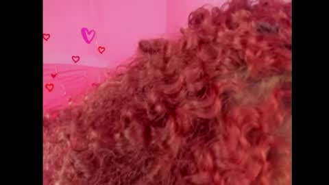 Lady  online show from 15, 2, 2025