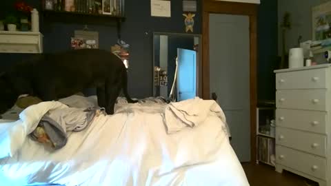 brunettebaby040 online show from 13, 9, 2025