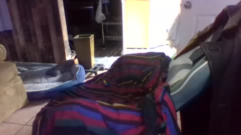 Snapshot of brutal3anddone chatting on 16, 10, 2025 brutal3anddone online show from 16, 10, 2025