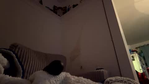 bubblya online show from 20, 2, 2026