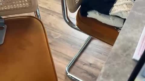 Snapshot of bucky5819 chatting on 16, 2, 2026 bucky58 online show from 16, 2, 2026