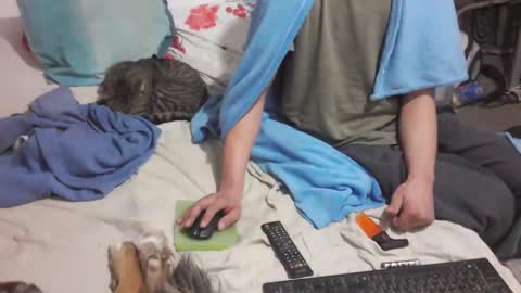 bufu21 online show from 2, 2, 2025