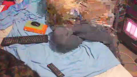 bufu21 online show from 2, 2, 2025