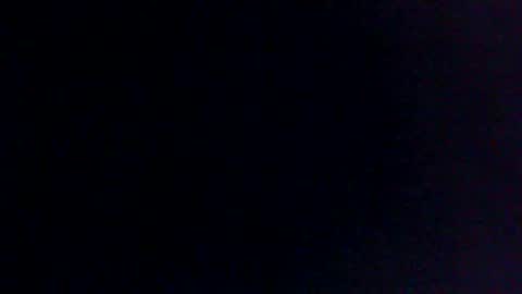 Bull balls online show from 11, 2, 2025