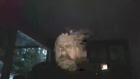 bulldog302w online show from 2, 2, 2026