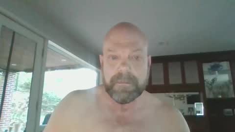 bulldog302w online show from 31, 3, 2026