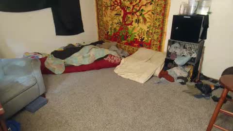 Snapshot of bun_twunk chatting on 15, 12, 2025 Shane online show from 15, 12, 2025