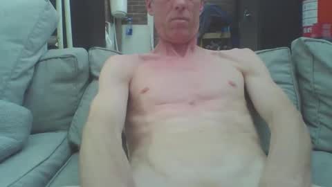 Dutch cock online show from 26, 4, 2026