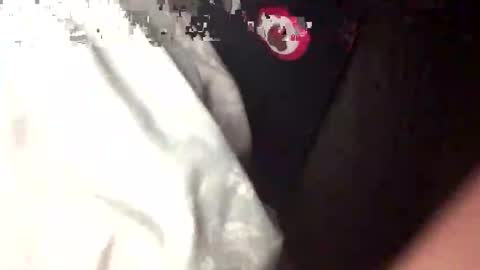 bungle online show from 14, 9, 2025