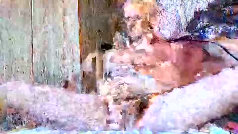 burnzart online show from 22, 9, 2025