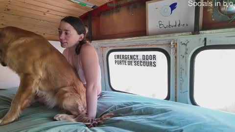 busbuddies online show from 13, 12, 2024