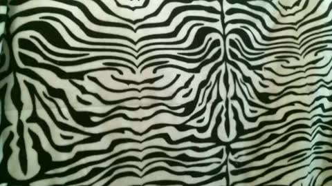 bustinfree online show from 12, 1, 2026