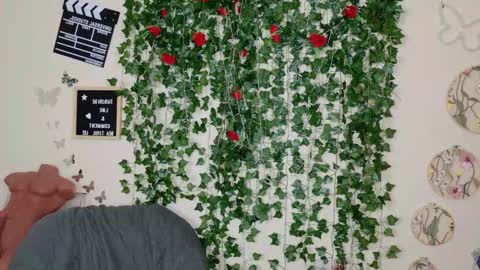 butterfly booty online show from 3, 11, 2025