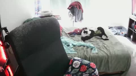 Snapshot of bxbydior chatting on 13, 12, 2025 bxbydior online show from 13, 12, 2025