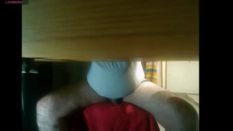 bzxxbzh online show from 17, 11, 2025