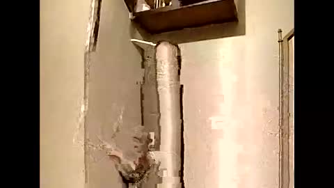 Southerncock online show from 5, 1, 2025