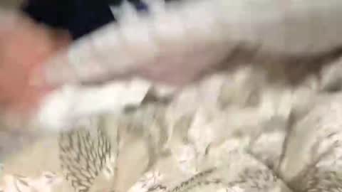 Marco online show from 9, 12, 2024