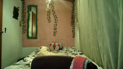 paula online show from 6, 2, 2026