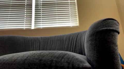 Snapshot of cam_albert1 chatting on 19, 2, 2025 cam_albert1 online show from 19, 2, 2025