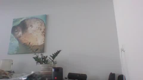 Dave online show from 12, 12, 2024