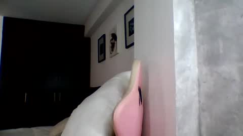Snapshot of camilagomez_ch chatting on 23, 6, 2026 camilagomez_ch online show from 23, 6, 2026