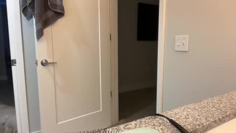 Snapshot of camiliakxoxo chatting on 8, 12, 2024 camiliakxoxo online show from 8, 12, 2024