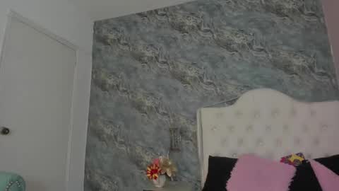 Snapshot of camillen_pettid chatting on 3, 3, 2025 C A M I L L E N Help me get to the top online show from 3, 3, 2025