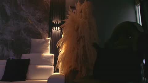 Snapshot of camiloalvarezzz3 chatting on 23, 6, 2026 CAMILO online show from 23, 6, 2026