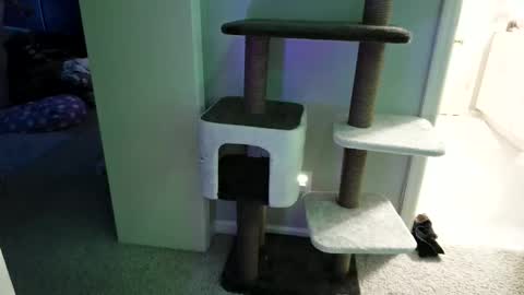 Snapshot of cammyman6900 chatting on 12, 5, 2026 cammyman6900 online show from 12, 5, 2026