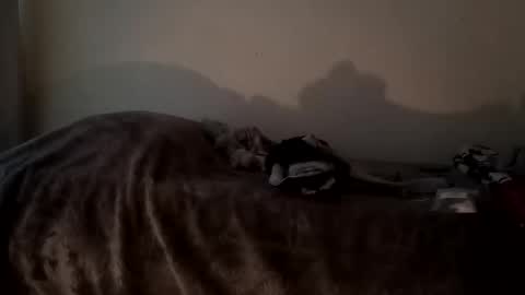 Camren online show from 7, 10, 2025