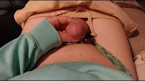 Candi Cakes online show from 1, 3, 2026