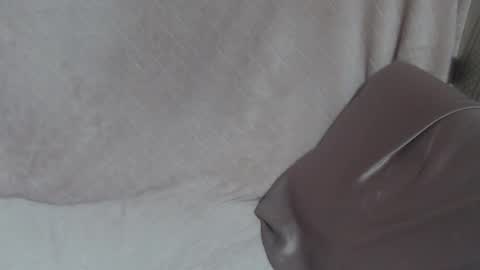 say meow and send tip  online show from 24, 2, 2026