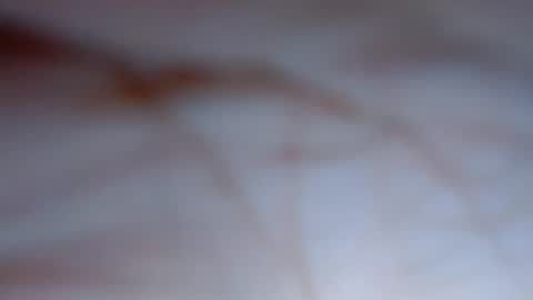candymorena69 online show from 11, 7, 2026