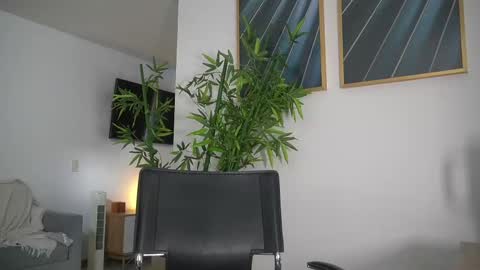 Jency NEW IG IMCANELA   online show from 10, 9, 2025