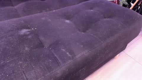 Carla online show from 22, 12, 2024