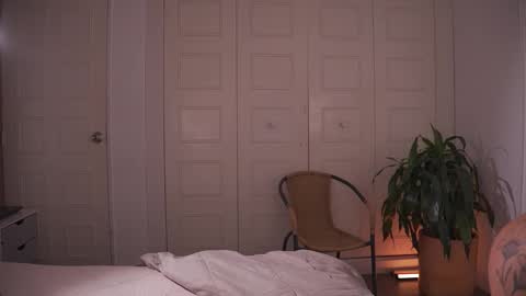 carolart online show from 3, 2, 2026