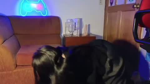 kitty online show from 7, 12, 2024