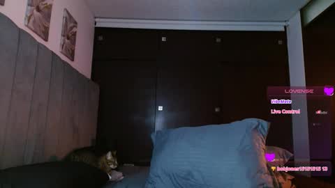 Snapshot of carolynamuzgui chatting on 27, 2, 2025 Carolinne online show from 27, 2, 2025