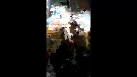 Snapshot of carrilloeverardo219 chatting on 23, 3, 2026 carrilloeverardo219 online show from 23, 3, 2026